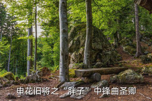 申花舊將之“胖子”中鋒曲圣卿