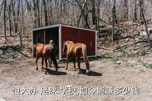 丹東最大的足球?qū)W校,世界最大足球?qū)W校