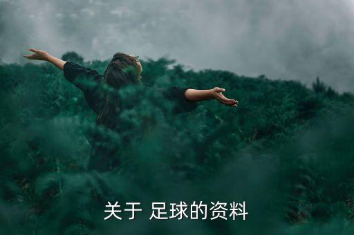 小學(xué)足球隊員檔案表格,足球主力隊員證明表格