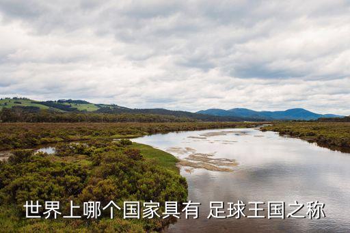 世界上哪個(gè)國(guó)家具有 足球王國(guó)之稱