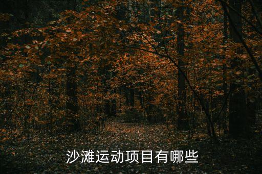  沙灘運動項目有哪些