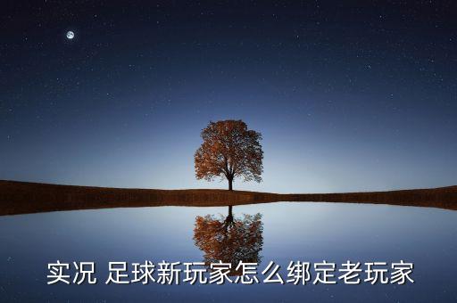  實況 足球新玩家怎么綁定老玩家