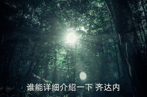 法國足球名將簡(jiǎn)介齊達內