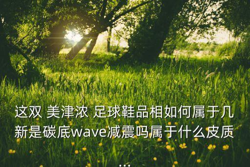 這雙 美津濃 足球鞋品相如何屬于幾新是碳底wave減震嗎屬于什么皮質(zhì)...