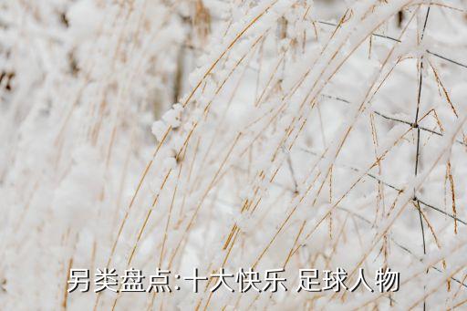 另類(lèi)盤(pán)點(diǎn):十大快樂(lè) 足球人物