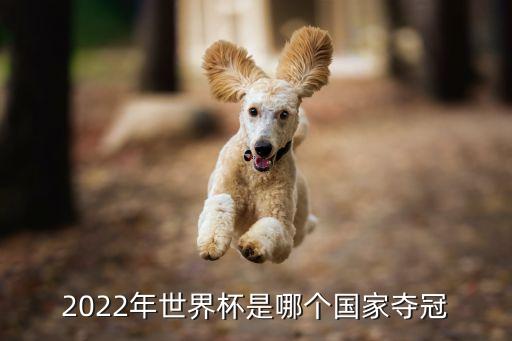 法國(guó) 阿根廷足球 回放,法國(guó)足球厲害還是阿根廷足球厲害