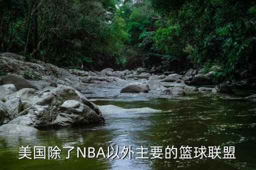 美國除了NBA以外主要的籃球聯(lián)盟