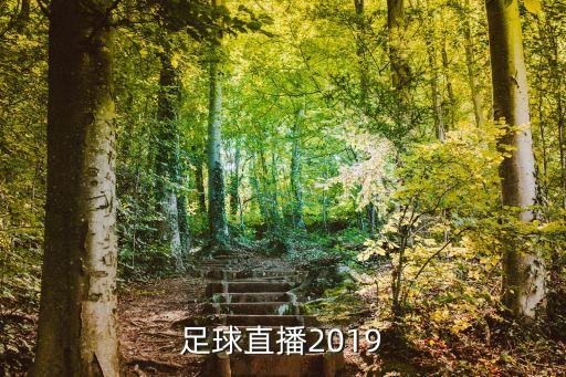 天下足球直播2019
