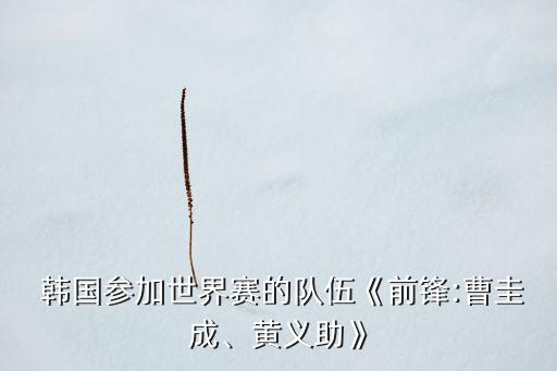  韓國(guó)參加世界賽的隊(duì)伍《前鋒:曹圭成、黃義助》