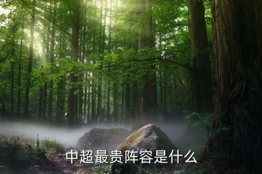 中超足球員轉會費多少
