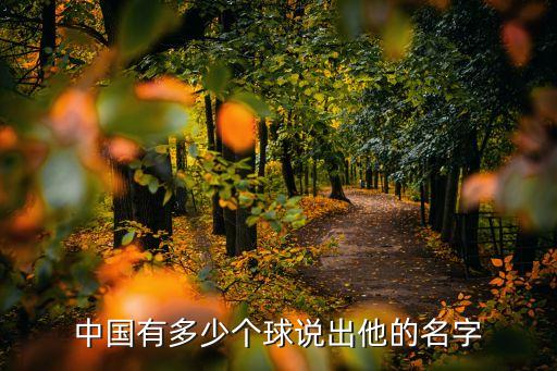 足球  展覽,足球展覽可行性分析怎么寫
