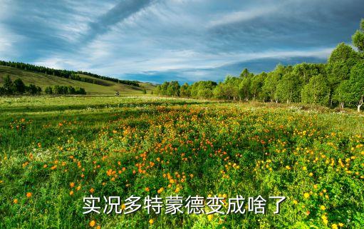  實況多特蒙德變成啥了