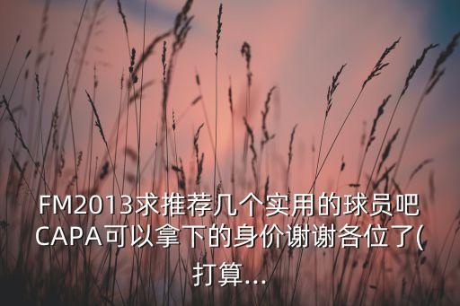 FM2013求推薦幾個(gè)實(shí)用的球員吧CAPA可以拿下的身價(jià)謝謝各位了(打算...