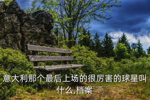 意大利那個最后上場的很厲害的球星叫什么,檔案