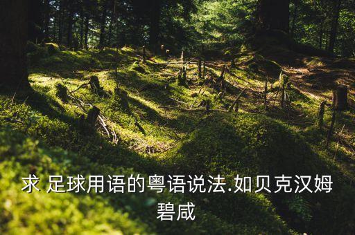 畢爾包足球,薩拉戈薩vs畢爾包