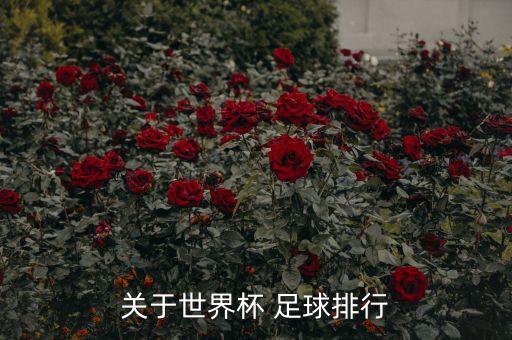 足球10月國際比賽月,足球國際比賽場地的長為寬為