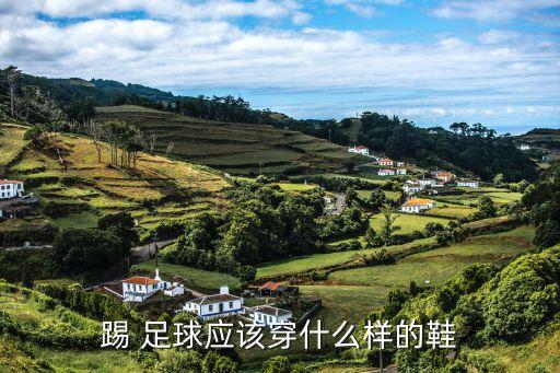 踢 足球應(yīng)該穿什么樣的鞋