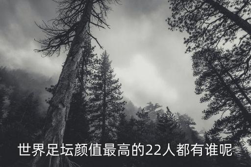 世界足壇顏值最高的22人都有誰呢