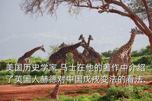 馬士積治足球