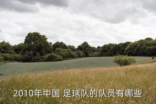 2010年中國 足球隊的隊員有哪些