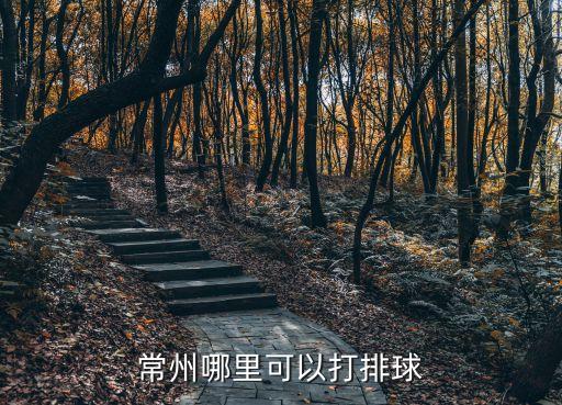 英派斯 籠式足球