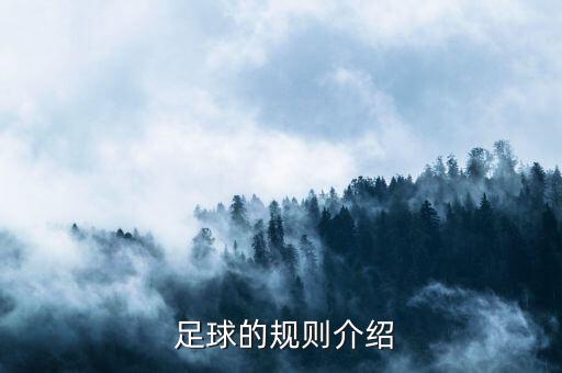  足球的規(guī)則介紹