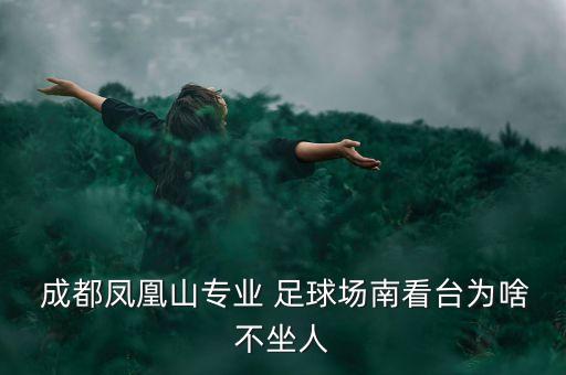  成都鳳凰山專業(yè) 足球場南看臺(tái)為啥不坐人