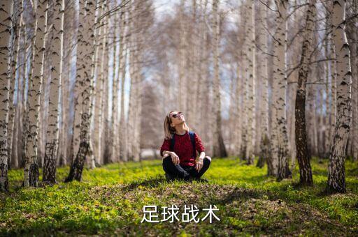  足球戰(zhàn)術