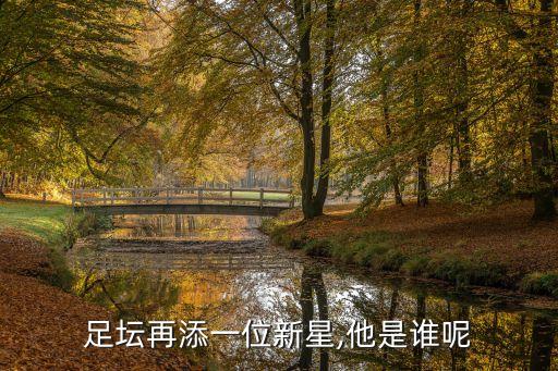 足壇再添一位新星,他是誰呢