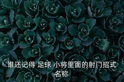 誰還記得 足球 小將里面的射門招式名稱