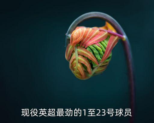 23號(hào)球星足球,足球二十二號(hào)球星