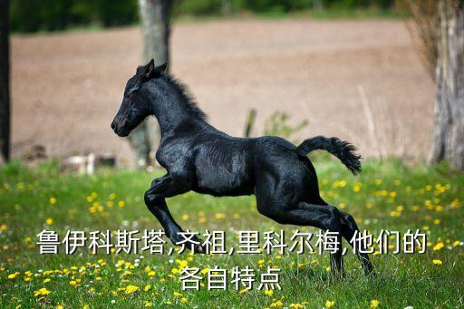 魯伊科斯塔,齊祖,里科爾梅,他們的各自特點(diǎn)