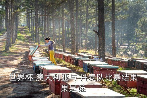 世界杯 澳大利亞與 丹麥隊(duì)比賽結(jié)果果是誰(shuí)