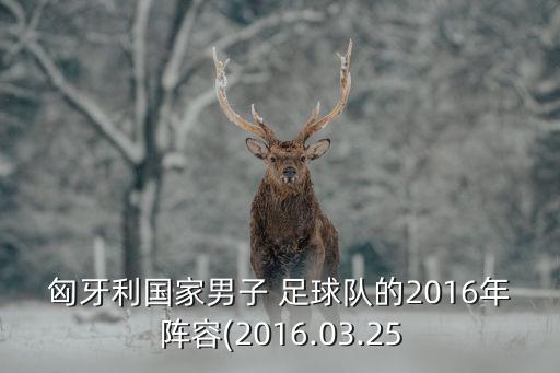 莫斯巴達足球隊,鹿特丹斯巴達足球隊