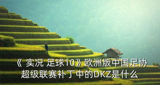 《 實(shí)況 足球10》歐洲版中國(guó)足協(xié)超級(jí)聯(lián)賽補(bǔ)丁中的DKZ是什么