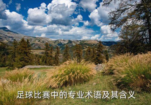  足球比賽中的專業(yè)術(shù)語(yǔ)及其含義