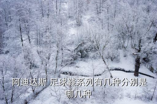 阿迪足球鞋ace17.2