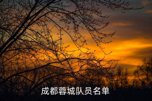 足球球員劉斌個(gè)人資料,孫超足球球員個(gè)人資料簡介