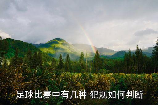  足球比賽中有幾種 犯規(guī)如何判斷