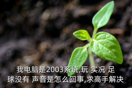 我電腦是2003系統,玩 實(shí)況 足球沒(méi)有 聲音是怎么回事,求高手解決