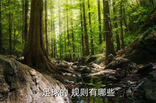  足球的 規(guī)則有哪些