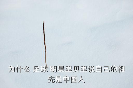 福建足球明星,西班牙的足球明星