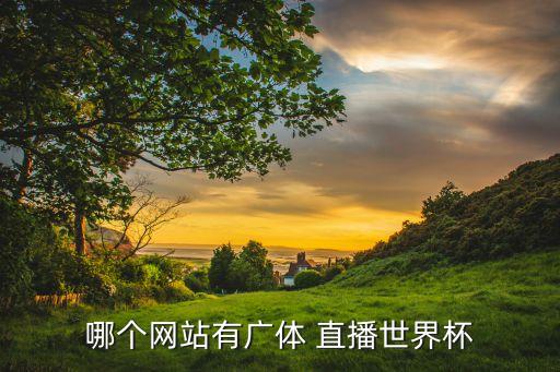 哪個網(wǎng)站有廣體 直播世界杯