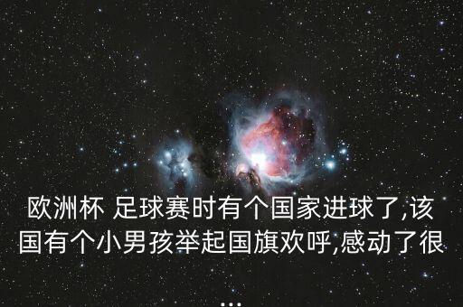 歐洲杯 足球賽時有個國家進球了,該國有個小男孩舉起國旗歡呼,感動了很...
