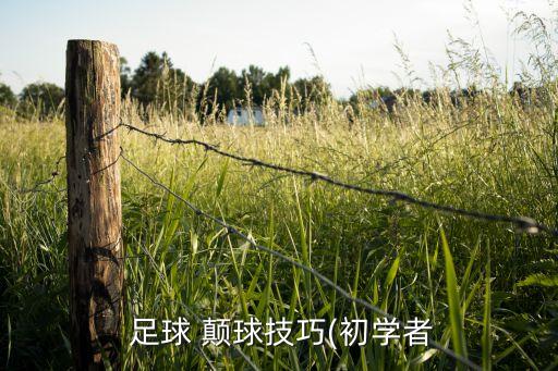  足球 顛球技巧(初學(xué)者