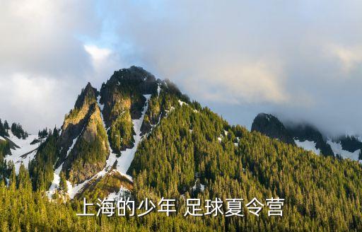 上海的少年 足球夏令營(yíng)