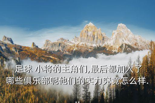 混血小將歸化足球