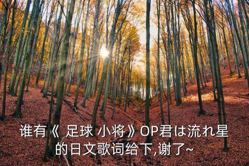 誰有《 足球 小將》OP君は流れ星的日文歌詞給下,謝了~