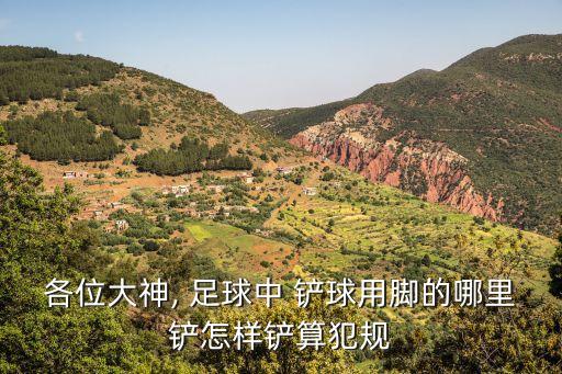 各位大神, 足球中 鏟球用腳的哪里鏟怎樣鏟算犯規(guī)