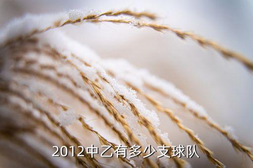 廣東足協(xié)足球隊(duì),呼和浩特足協(xié)少年足球隊(duì)